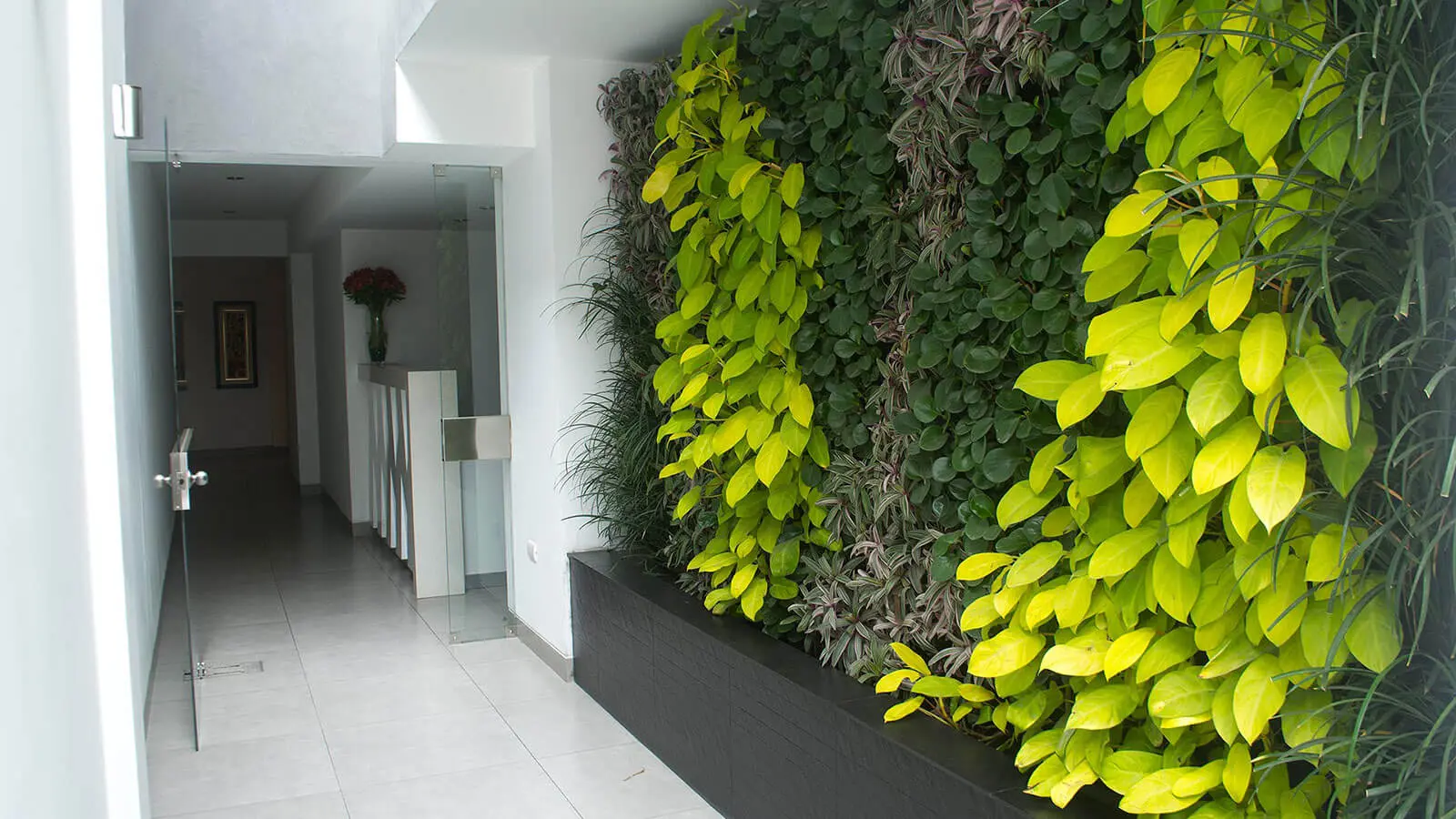 Paisajismo, Huertos Urbano, Jardines Verticales y sistemas de riego por goteo