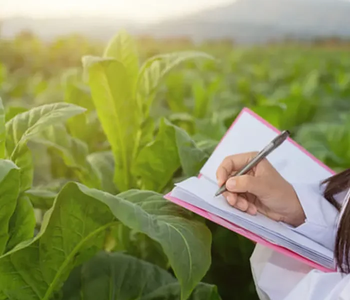 Asesoramiento e Implementación de Normas Internacionales para Cultivos de Agroexportación Convencional-1
