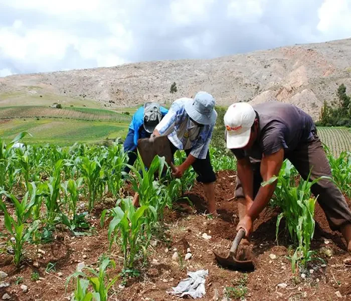 Venta de Equipos y Suministros para la Agricultura-2